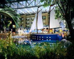 Gaylord Palms Resort and Spa 