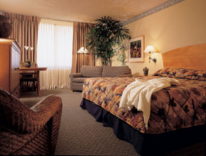 Disney's Paradise Pier Hotel