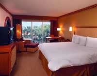 Radisson Resort Parkway Tropical Courtyard View: