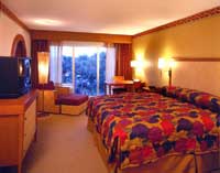 Radisson Resort Parkway Tropical Courtyard View: