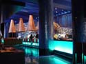 Dolphin_dining_bluezoo_11