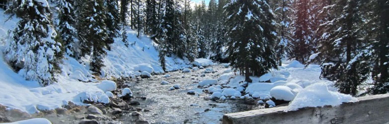 Wyoming Yellowstone