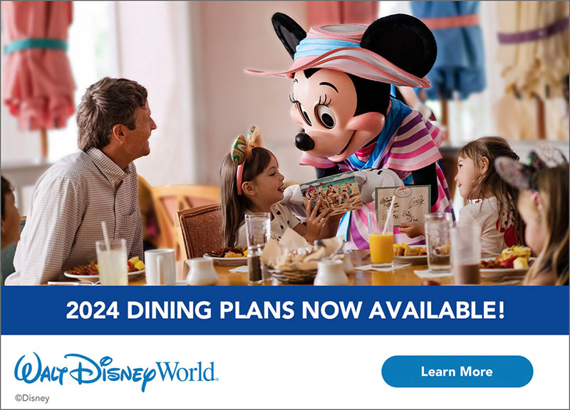 Disney World discount