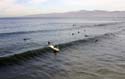 venice-beach-IMG_8417