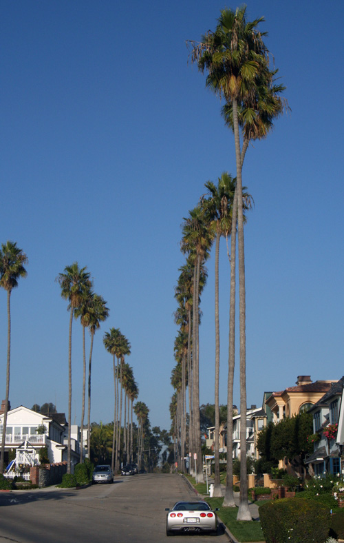 Newport-Beach-01