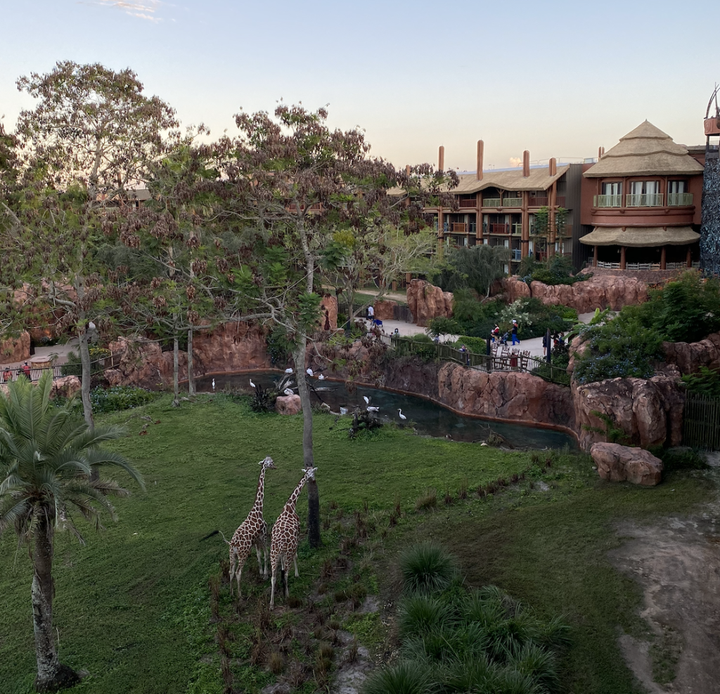 Disneys Animal Kingdom Lodge at Walt Disney World
