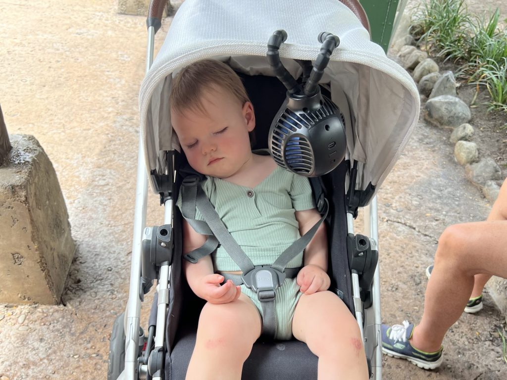 Disney World with Littles
